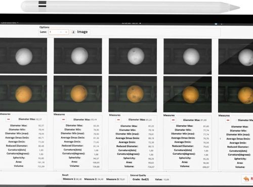 Clasificación calidad extra naranjas