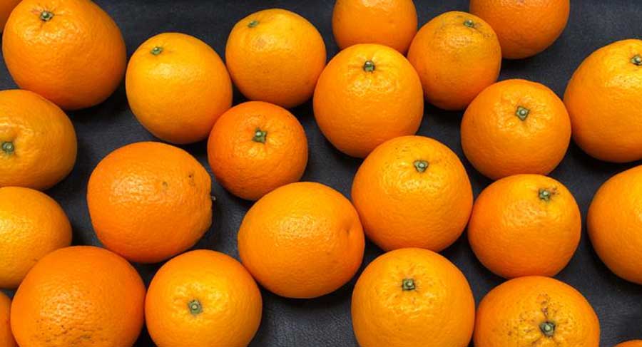 Naranjas calidad extra sin defectos de piel ni forma