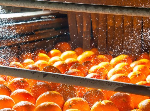 Lavado de naranjas