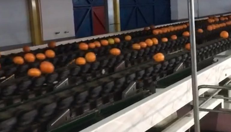 Update of the electronic system of several original Reemoon citrus graders