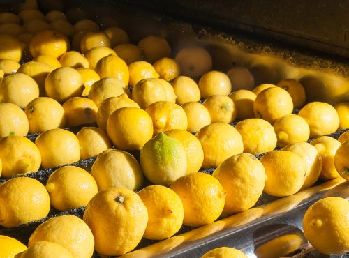 Los software de calibración al desnudo