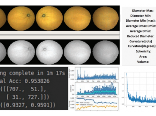 Inteligencia Artificial Ingivision