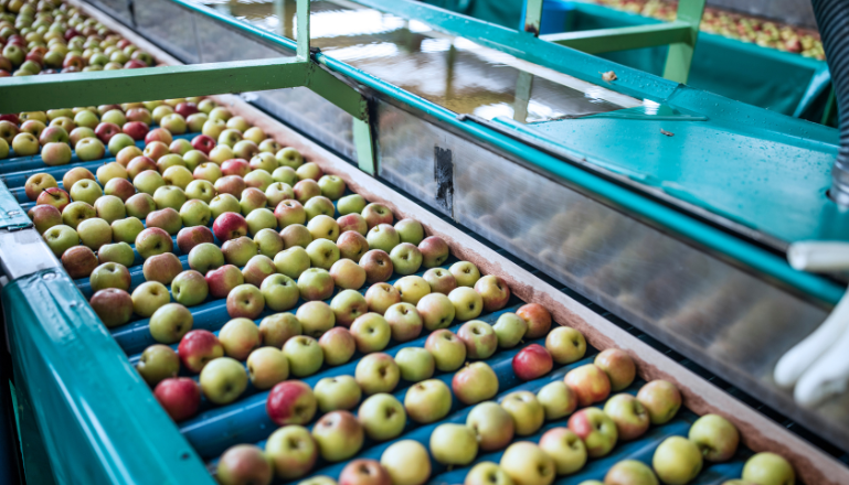 Frutas-Selección-inteligencia artificial