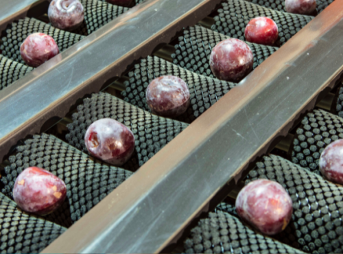 intelligent-fruit-sorting-systems