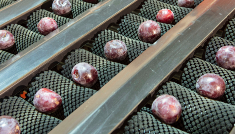 Sistemas de clasificación de frutas inteligentes