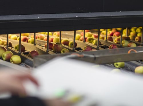 Software en equipos de clasificación de vegetales