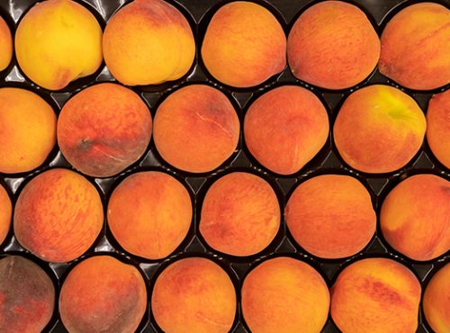 Calibrado de la fruta y sostenibilidad: guía operativa para reducir desperdicio y optimizar recursos en poscosecha