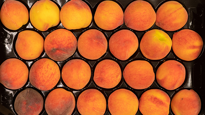 Calibrado de la fruta y sostenibilidad: guía operativa para reducir desperdicio y optimizar recursos en poscosecha