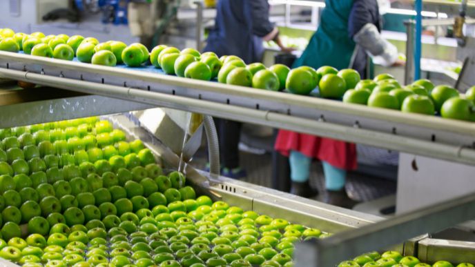 Calibradores de fruta y normativas de exportación: lo que tu planta debe cumplir en 2026