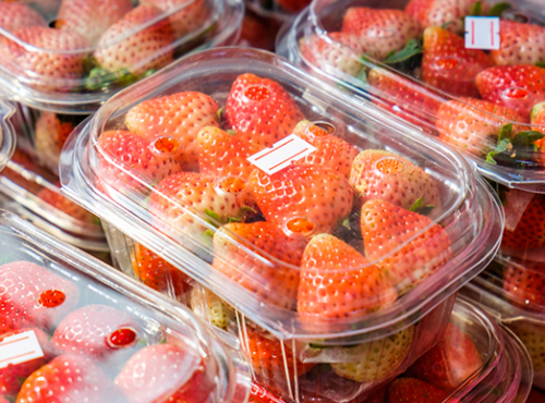 Fruit Sorting Machine y trazabilidad digital