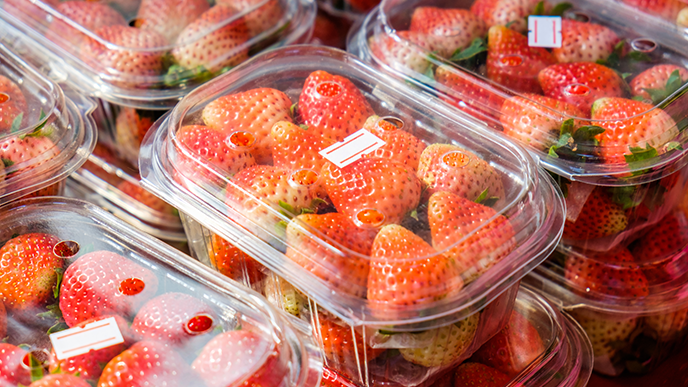 Fruit Sorting Machine y trazabilidad digital