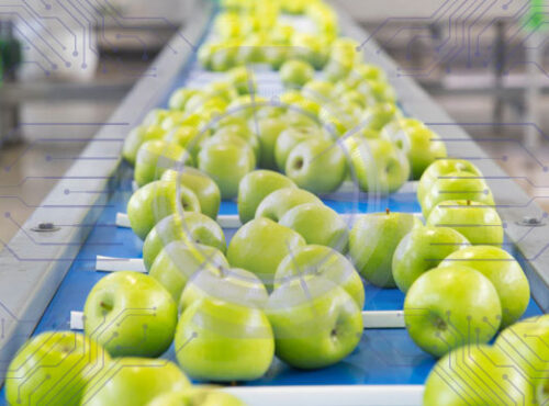 Tendencias en el calibrado de la fruta en 2026