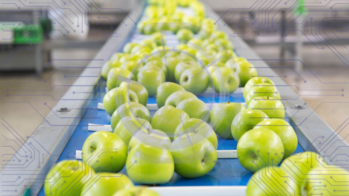 Tendencias en el calibrado de la fruta en 2026